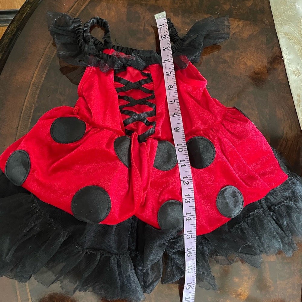 Lady bug costume. Size 2t - Picture 2 of 6